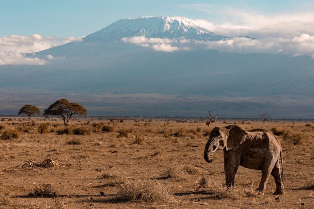 Mount Kilimanjaro, Tanzania